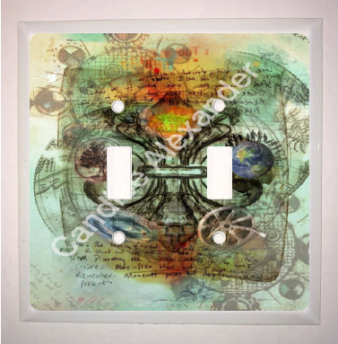 Double Switch Plate