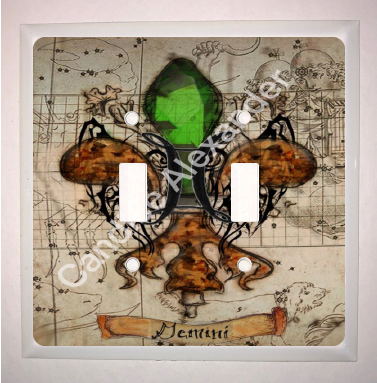 Double Switch Plate