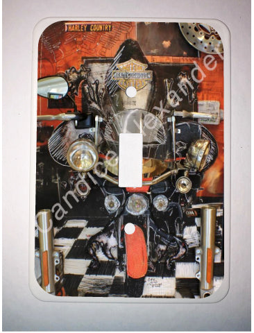 Single Switch Plate