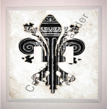 Double Switch Plate