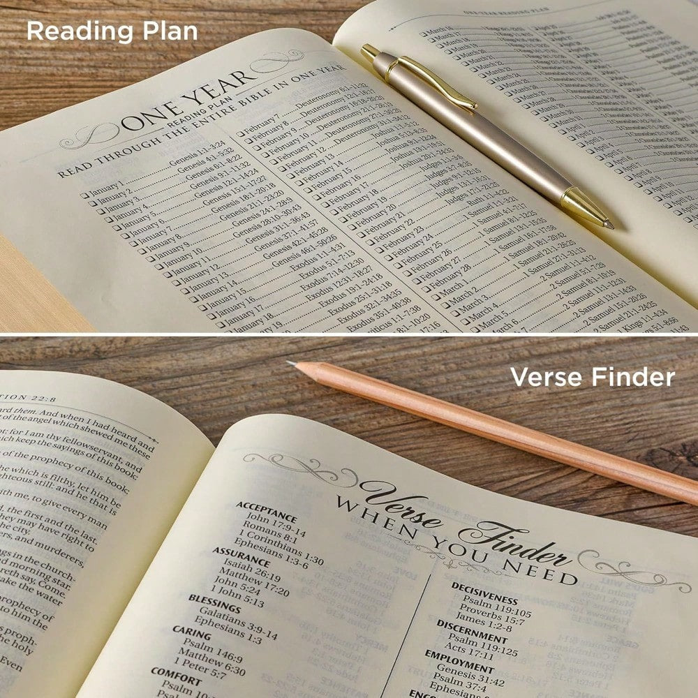 KJV Holy Bible, Note-Taking Bible, Faux Leather Hardcover- King James Version, Brown/Pink (KJV Note-Taking Editions)