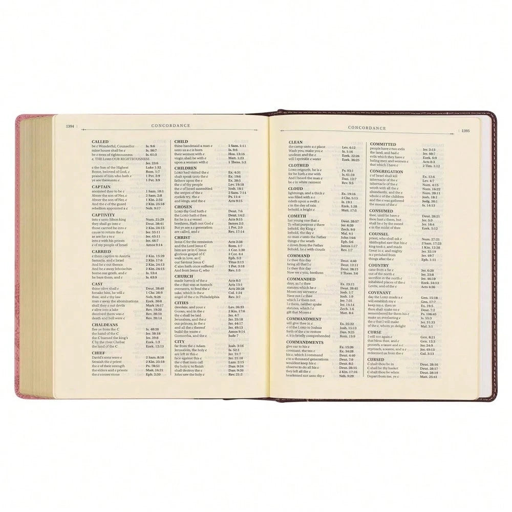 KJV Holy Bible, Note-Taking Bible, Faux Leather Hardcover- King James Version, Brown/Pink (KJV Note-Taking Editions)