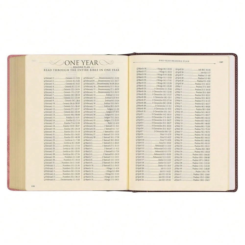 KJV Holy Bible, Note-Taking Bible, Faux Leather Hardcover- King James Version, Brown/Pink (KJV Note-Taking Editions)