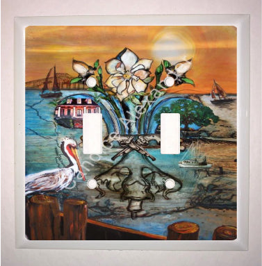 Double Switch Plate