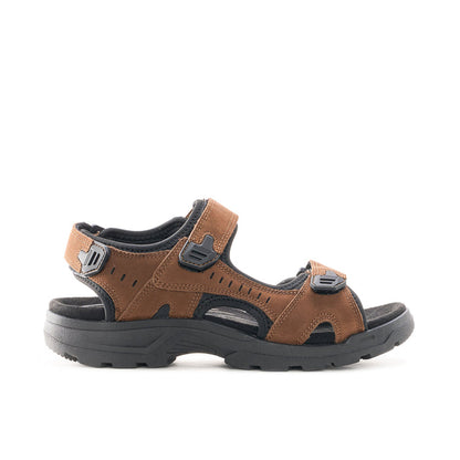 7 / brown