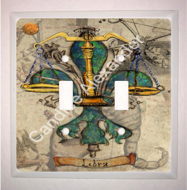 Double Switch Plate