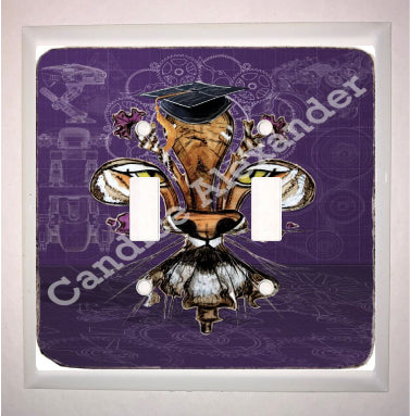Double Switch Plate