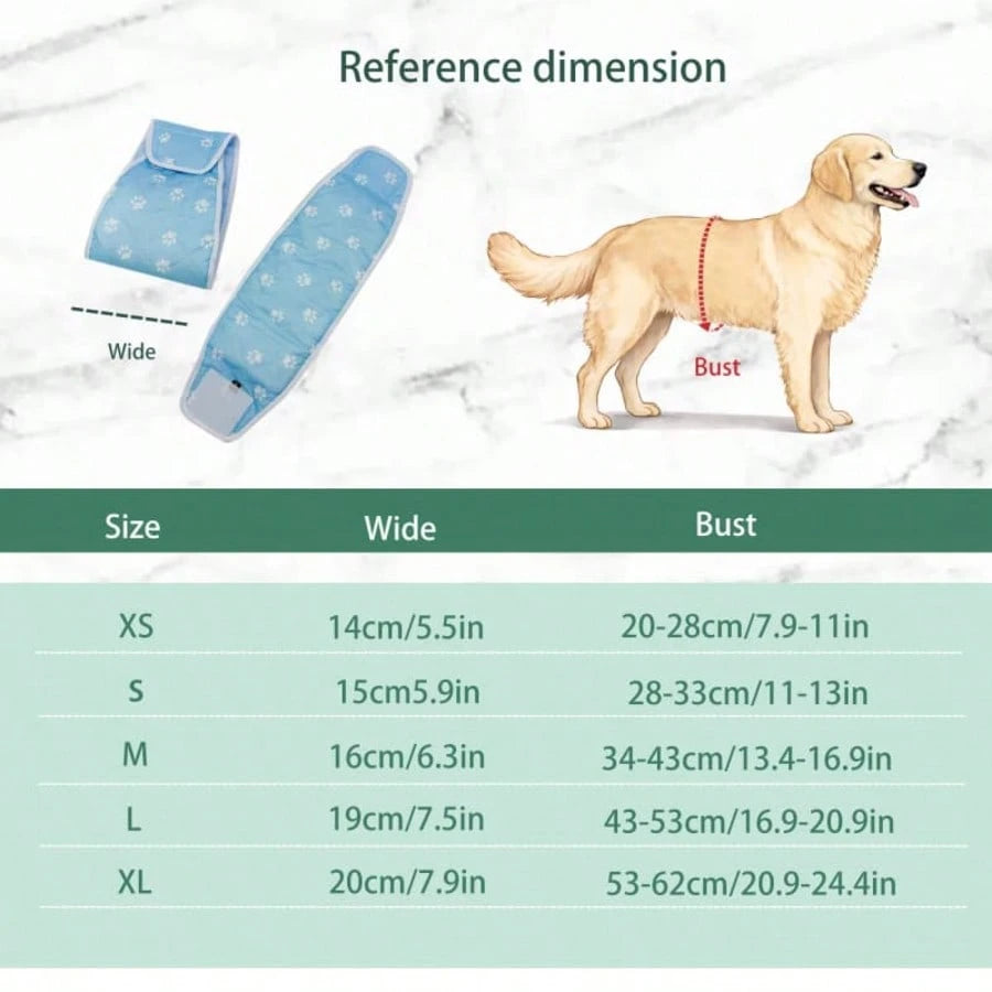 Male Dog Polite Washable Anti-Leak Diaper Shorts For Bichon Small Dogs, Leak-Proof Dog Sanitary Pants
