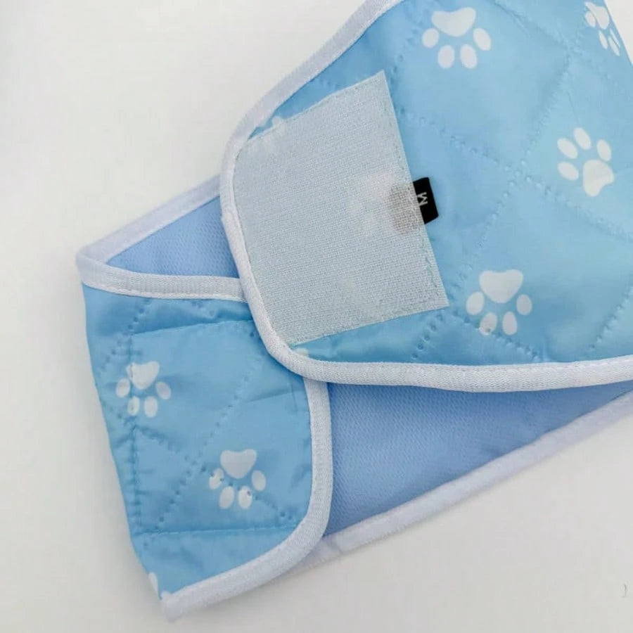 Male Dog Polite Washable Anti-Leak Diaper Shorts For Bichon Small Dogs, Leak-Proof Dog Sanitary Pants