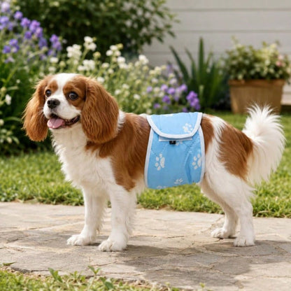 Male Dog Polite Washable Anti-Leak Diaper Shorts For Bichon Small Dogs, Leak-Proof Dog Sanitary Pants