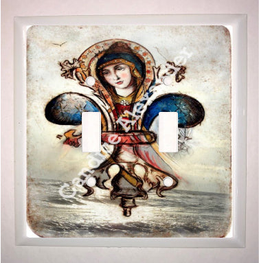 Double Switch Plate