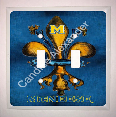 Double Switch Plate