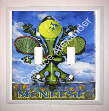 Double Switch Plate