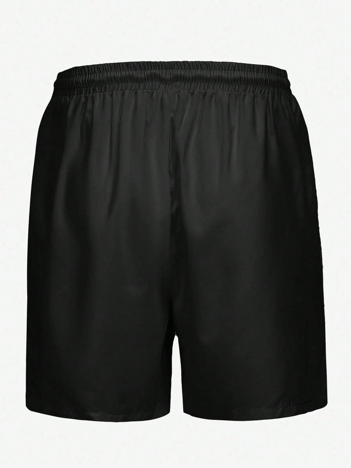 Men's Plus Size Flag Print Unlined Drawstring Elastic Waist Side Pocket Casual Vacation Beach Shorts