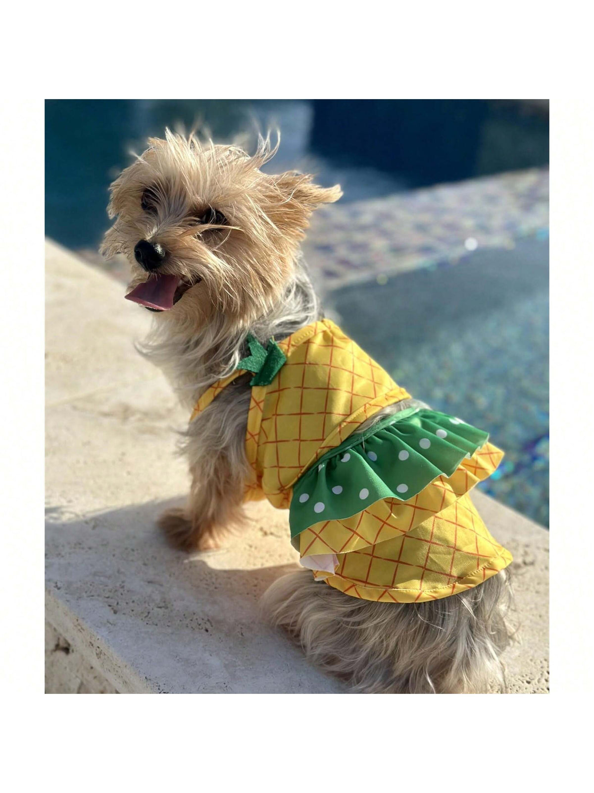 Pineapple Funny Dog Swimwear Bikini Summer Dog Clothes Beach Swimsuit Puppy Bathing Suit Puppy Vest Cooling Dog Shirts Pet Shirt For Small Dog, Cat Apparel