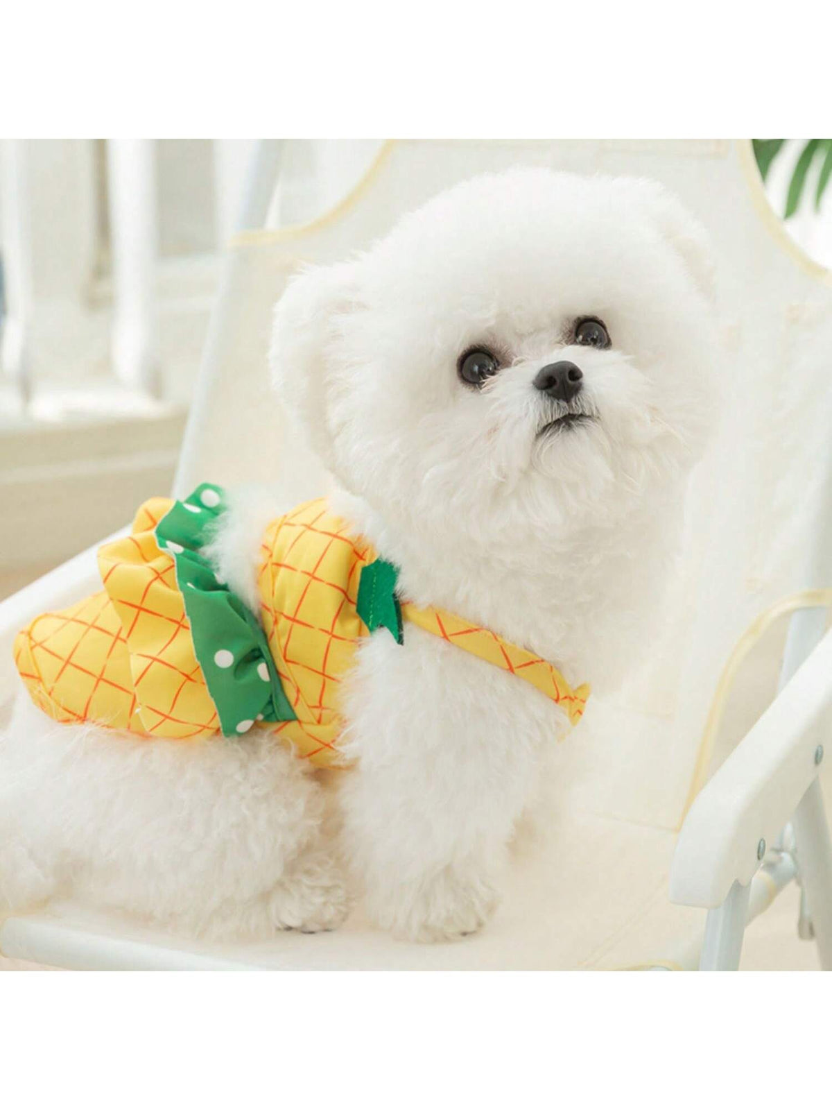 Pineapple Funny Dog Swimwear Bikini Summer Dog Clothes Beach Swimsuit Puppy Bathing Suit Puppy Vest Cooling Dog Shirts Pet Shirt For Small Dog, Cat Apparel
