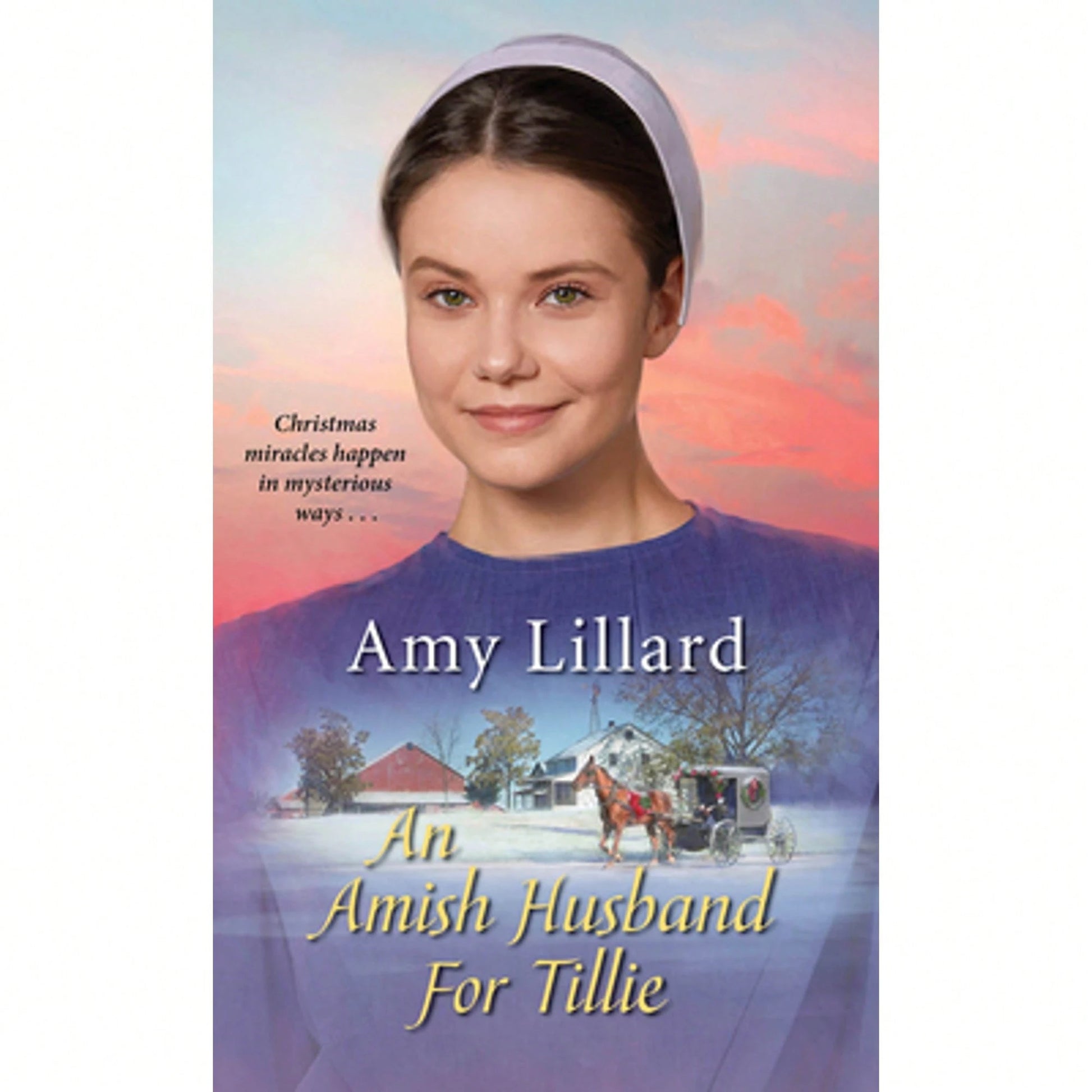 Pre-Owned An Amish Husband For Tillie (Paperback) By Amy Lillard