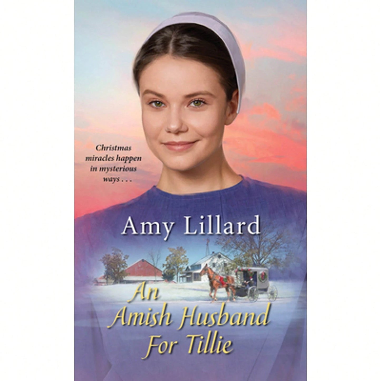 Pre-Owned An Amish Husband For Tillie (Paperback) By Amy Lillard