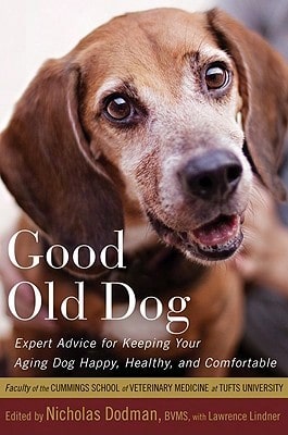 Pre-Owned Doggie Day Care Murder (Paperback) By Laurien Berenson