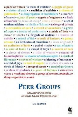 Pre-Owned Peer Groups: Expanding Our Study Of Small Group Communication (Paperback) By Sunwolf