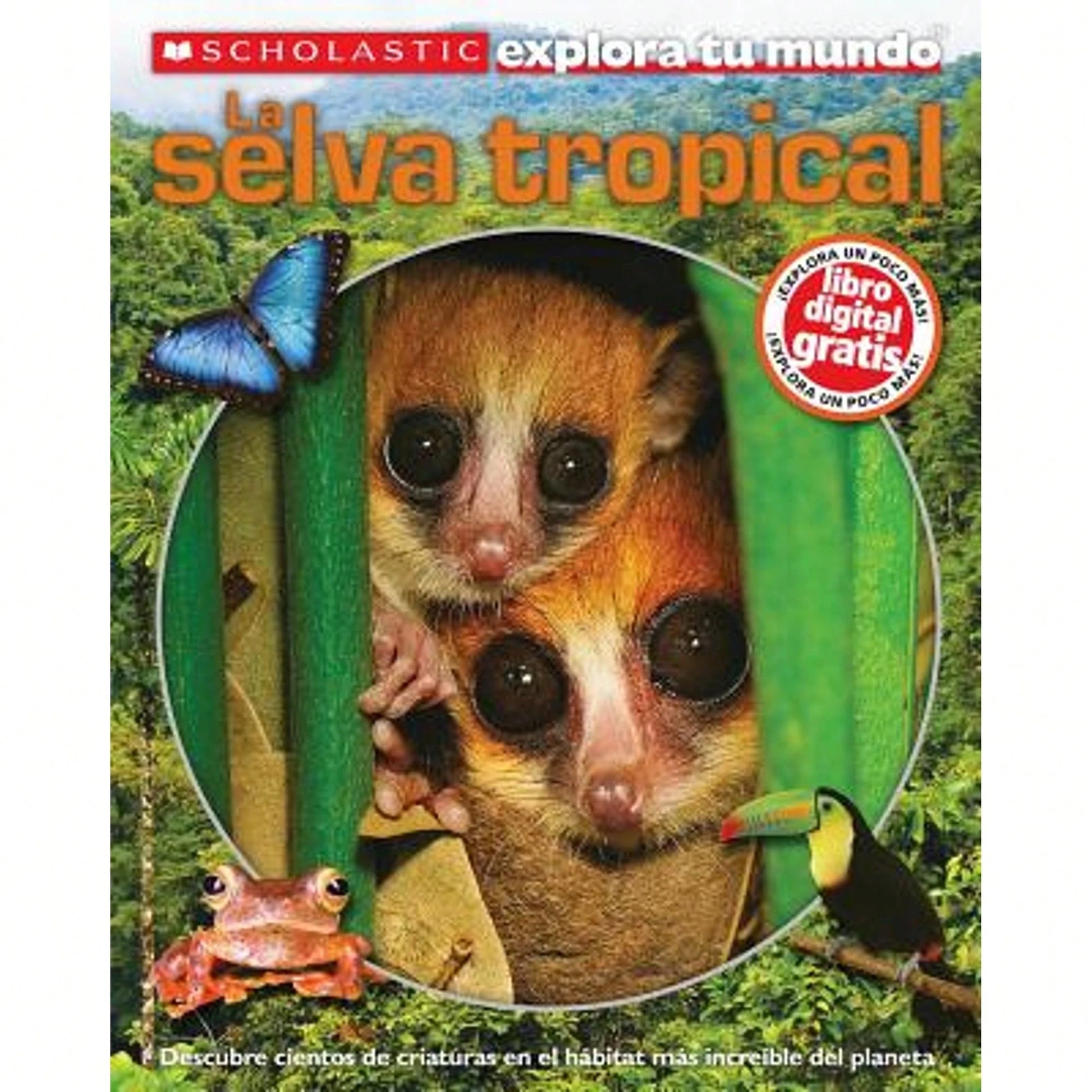 Pre-Owned Scholastic Explora Tu Mundo: La Selva Tropical: (Spanish Language Edition Of Scholastic (Paperback) By Penelope Arlon