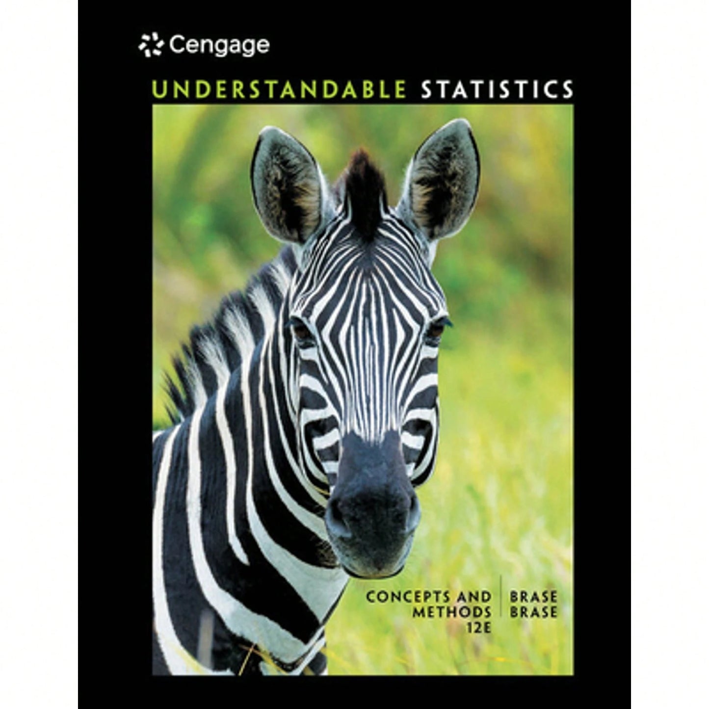 Pre-Owned Understandable Statistics: Concepts And Methods (AP Edition(R)) (Hardcover) By Charles Henry Brase, Corrinne Pellillo Brase