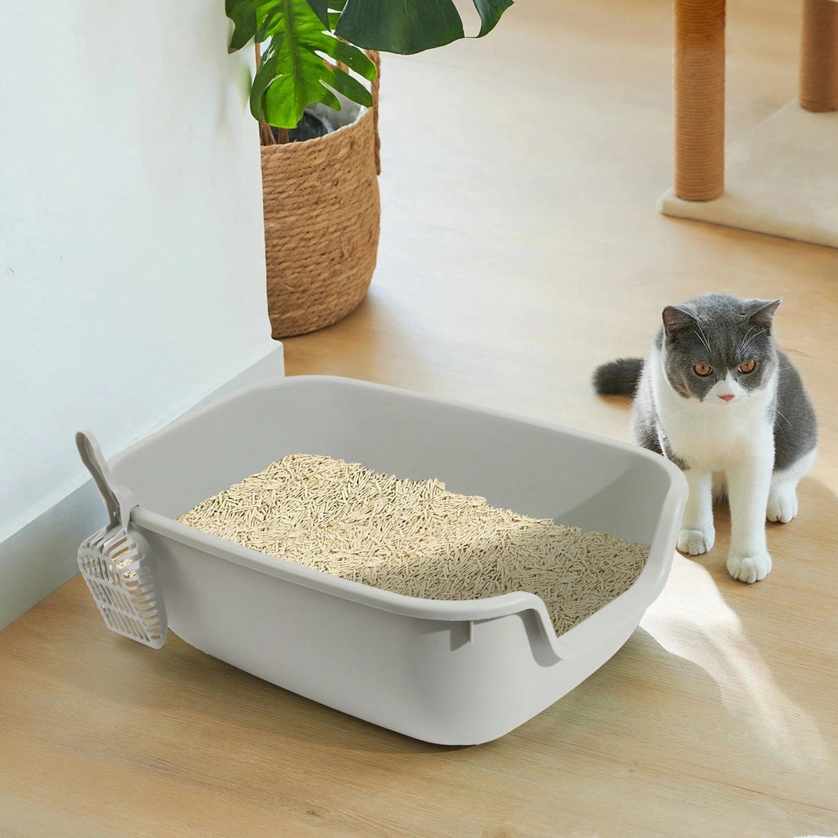 Semi-Enclosed Litter Box With Litter Scoop, Splash-Proof Open Design, Large Capacity Plastic Litter Box, Easy To Clean, Suitable For Small To Medium-Sized Pets.