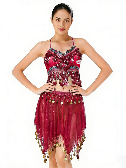 Stage Ornate Embellished Crop Top Sheer Mesh Dance Skirt Coin Pendant Dance Veil (Multiple Colors Available)