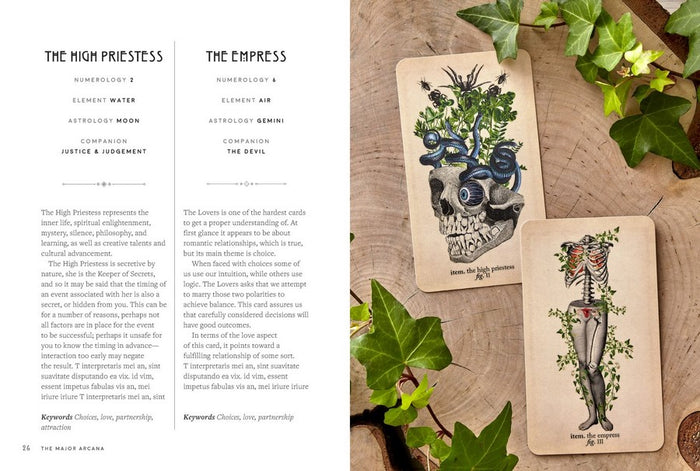 The Modern Tarot Reader - Harness tarot energy for personal development and healing