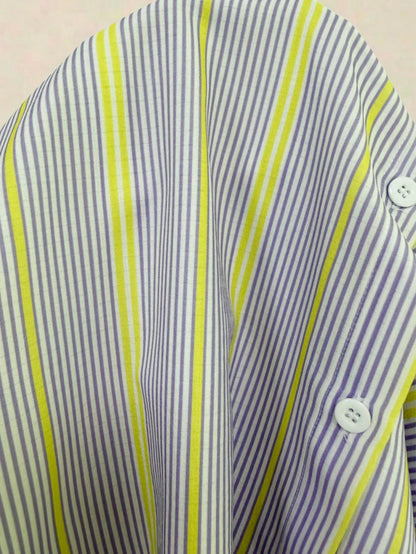 Women's Striped Casual & Office Elegant Striped Button-Up Shirt, Long Sleeve, Spring/Summer
